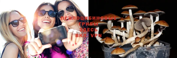 мяу мяу мука Армянск