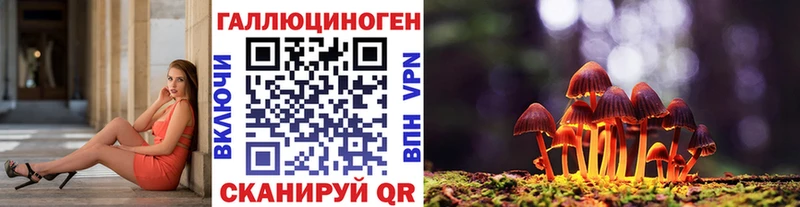 hydra ССЫЛКА  где купить наркоту  Карабулак  Галлюциногенные грибы прущие грибы 