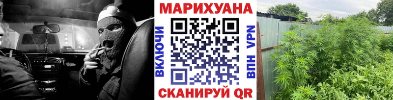 omg зеркало  Карабулак  Конопля план  сколько стоит 